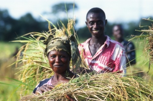 Article : FAO | Agriculture familiale 2014