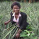 Article : Femmes et TICs pour le développement agricole